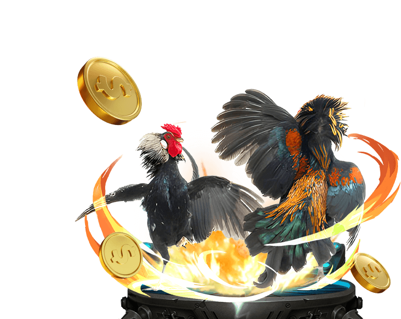 Đá Gà Trực Tiếp mt68 vip